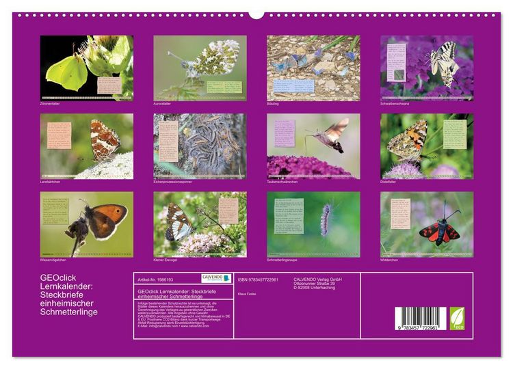Produktbild: GEOclick Lernkalender: Steckbriefe einheimischer Schmetterlinge (hochwertiger Premium Wandkalender 2026 DIN A2 quer), Kunstdruck in Hochglanz