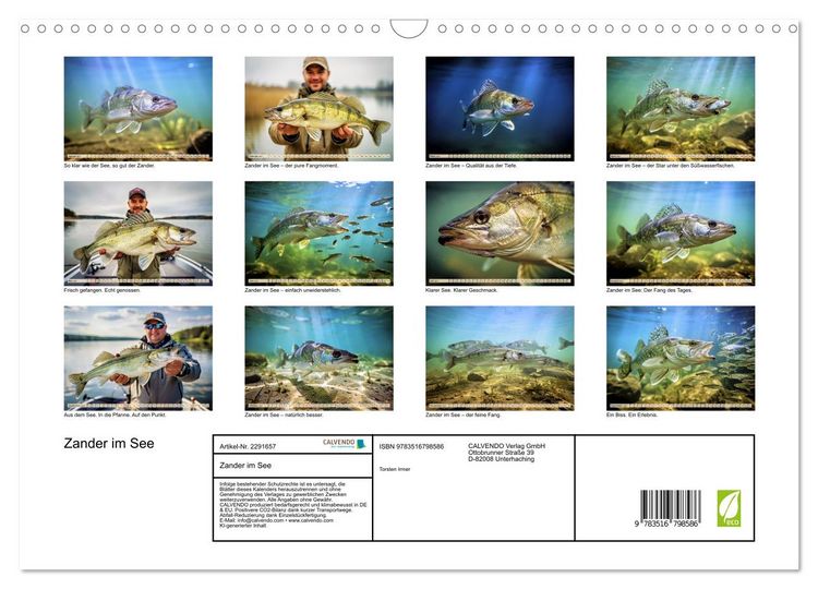 Produktbild: Zander im See (Wandkalender 2027 DIN A3 quer), CALVENDO Monatskalender
