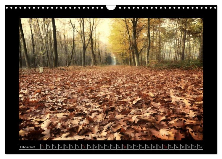 Produktbild: Der Reichswald bei Kleve (Wandkalender 2026 DIN A3 quer), CALVENDO Monatskalender
