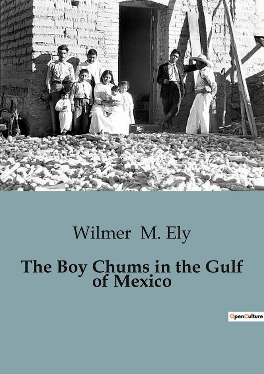 Produktbild: The Boy Chums in the Gulf of Mexico