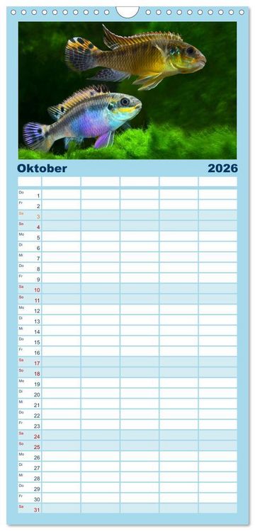 Produktbild: Familienplaner 2026 - Beliebte Fische der Welt mit 5 Spalten (Wandkalender, 21 x 45 cm) CALVENDO