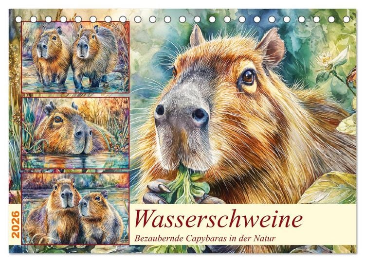 Produktbild: Wasserschweine. Bezaubernde Capybaras in der Natur (Tischkalender 2026 DIN A5 quer), CALVENDO Monatskalender