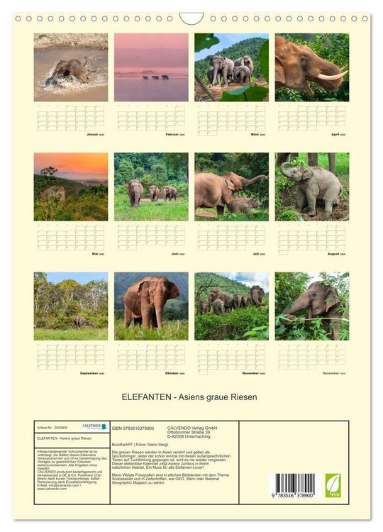 Produktbild: ELEFANTEN - Asiens graue Riesen (Wandkalender 2026 DIN A3 hoch), CALVENDO Monatskalender