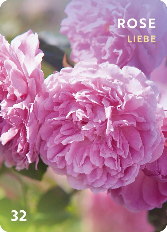 Produktbild: D&uuml;fte f&uuml;r die Seele