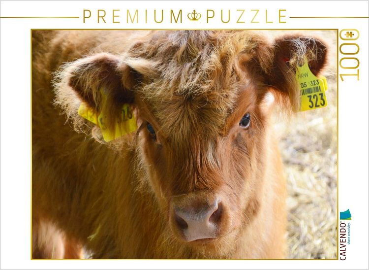 Produktbild: CALVENDO Puzzle K&auml;lber - Kleine Herzensbrecher auf den Wiesen | 1000 Teile Lege-Gr&ouml;&szlig;e 64x48cm Foto-Puzzle f&uuml;r gl&uuml;ckliche Stunden