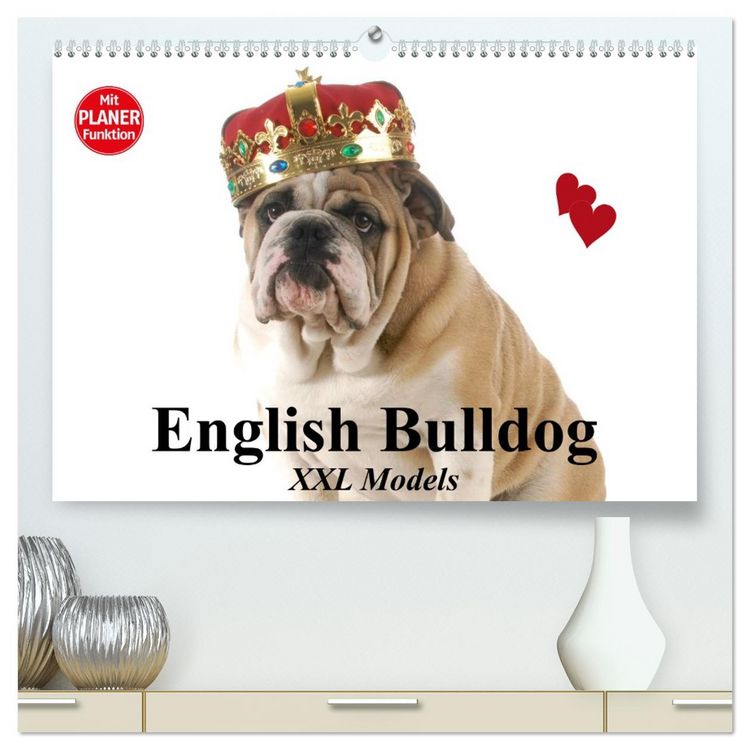 Produktbild: English Bulldog XXL Models (hochwertiger Premium Wandkalender 2026 DIN A2 quer), Kunstdruck in Hochglanz