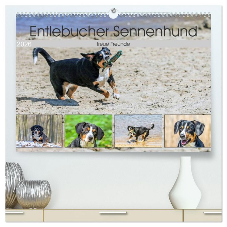 Produktbild: Entlebucher Sennenhund - treue Freunde (hochwertiger Premium Wandkalender 2026 DIN A2 quer), Kunstdruck in Hochglanz