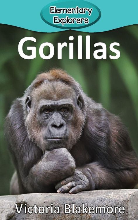 Produktbild: Gorillas