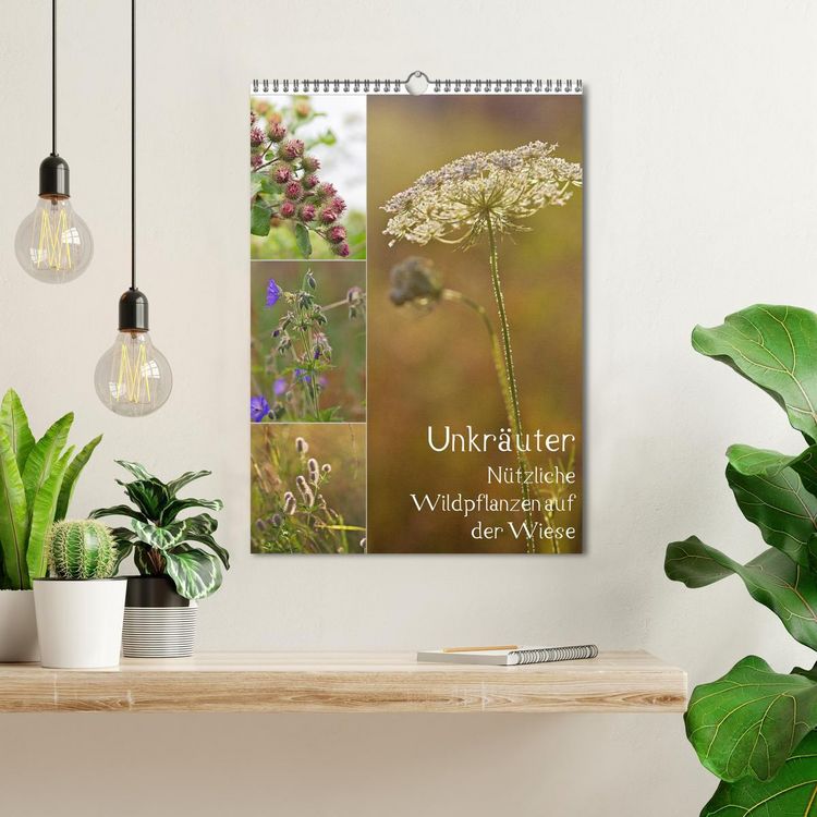 Produktbild: Unkr&auml;uter - N&uuml;tzliche Wildpflanzen auf der Wiese (Wandkalender 2026 DIN A3 hoch), CALVENDO Monatskalender