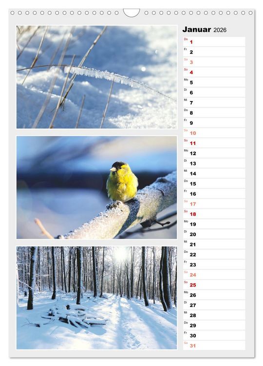 Produktbild: Zauberhafte Farben der Natur (Wandkalender 2026 DIN A3 hoch), CALVENDO Monatskalender