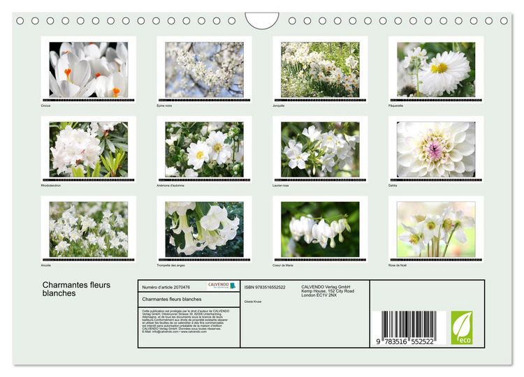 Produktbild: Charmantes fleurs blanches (Calendrier mural 2026 DIN A4 vertical), CALVENDO calendrier mensuel