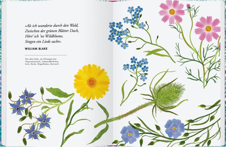 Produktbild: Wildblumen pflanzen