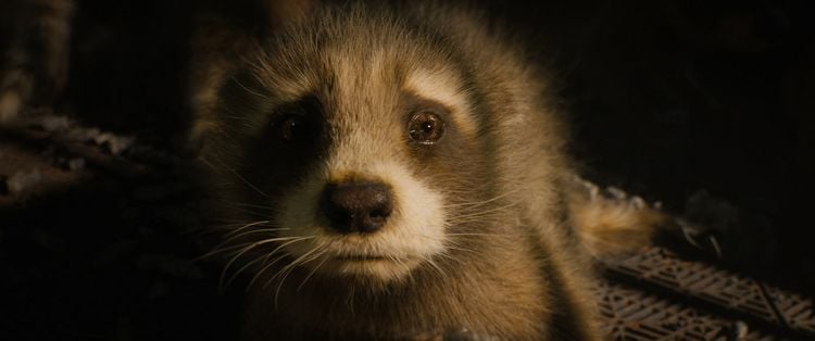 Produktbild: Guardians of the Galaxy Vol. 3 (4K Ultra HD) (+ Blu-ray)