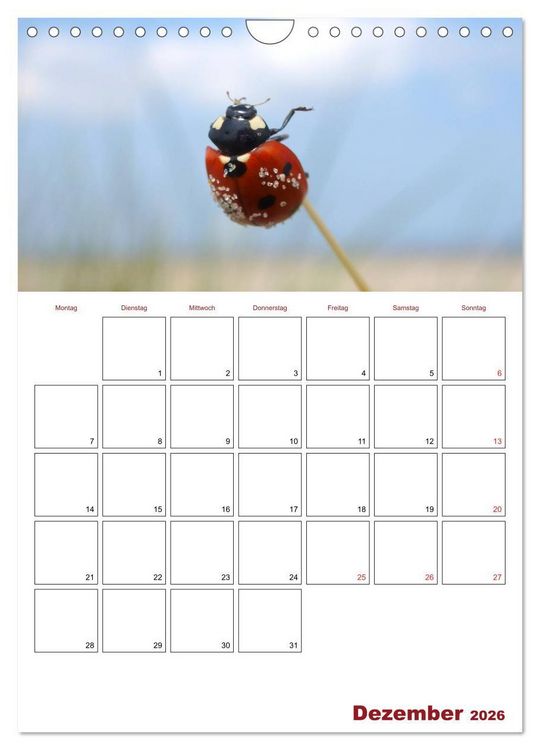 Produktbild: Marienk&auml;fergl&uuml;ck (Wandkalender 2026 DIN A4 hoch), CALVENDO Monatskalender