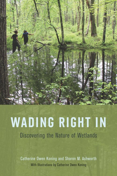 Produktbild: Wading Right In