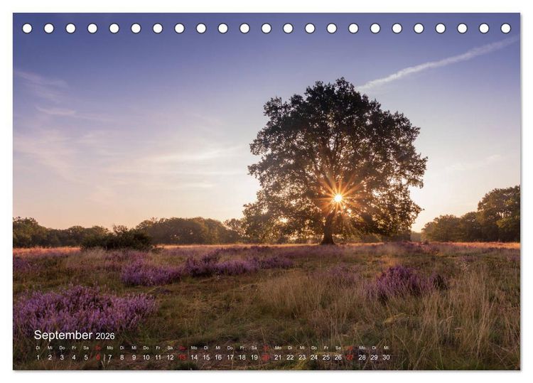 Produktbild: Deutschland Blicke in die Natur (Tischkalender 2026 DIN A5 quer), CALVENDO Monatskalender