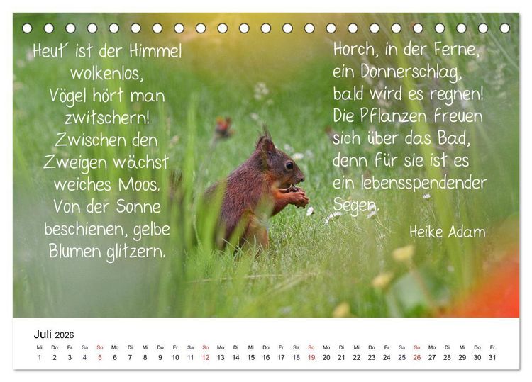 Produktbild: Der literarische Eichh&ouml;rnchen-Kalender (Tischkalender 2026 DIN A5 quer), CALVENDO Monatskalender