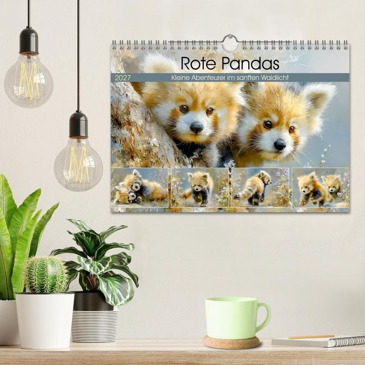 Produktbild: Rote Pandas. Kleine Abenteurer im sanften Waldlicht (Wandkalender 2027 DIN A4 quer), CALVENDO Monatskalender