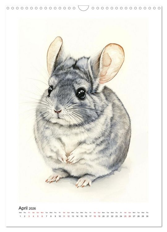 Produktbild: Chinchilla Parade (Wall Calendar 2026 DIN A3 portrait), CALVENDO 12 Month Wall Calendar