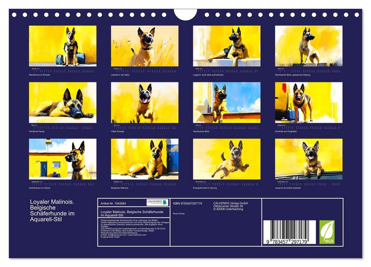 Produktbild: Loyaler Malinois. Belgische Sch&auml;ferhunde im Aquarell-Stil (Wandkalender 2026 DIN A4 quer), CALVENDO Monatskalender