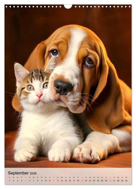 Produktbild: Basset Hound - freundlich und anh&auml;nglich (Wandkalender 2026 DIN A3 hoch), CALVENDO Monatskalender
