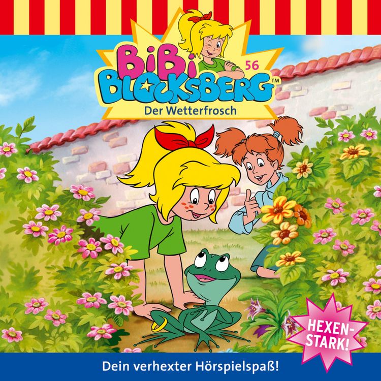 Produktbild: Der Wetterfrosch