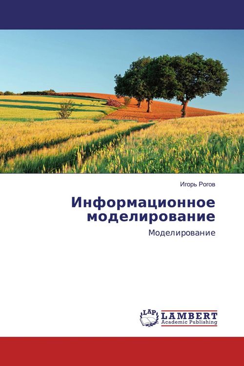 Produktbild: Informacionnoe modelirowanie
