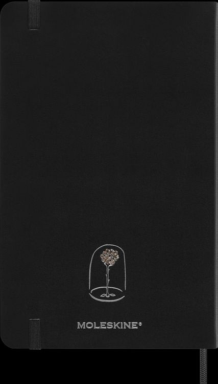 Produktbild: Moleskine der kleine Prinz Sammlerbox, liniertes Notizbuch L/A5 schwarz, undatierter 12-Monats-Notizkalender L/A5 fester Einband grau
