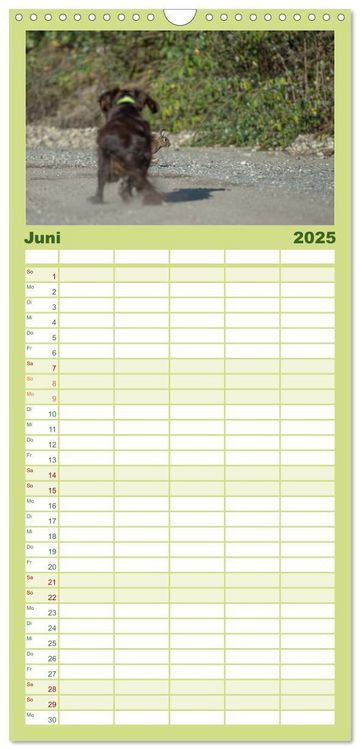 Familienplaner 2025 - Jagdhunde bei der Arbeit mit 5 Spalten (Wandkalender, 21 x 45 cm) CALVENDO
