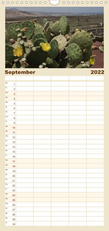 Produktbild: Familienplaner Faszination Kakteen (Wandkalender 2022 , 21 cm x 45 cm, hoch)