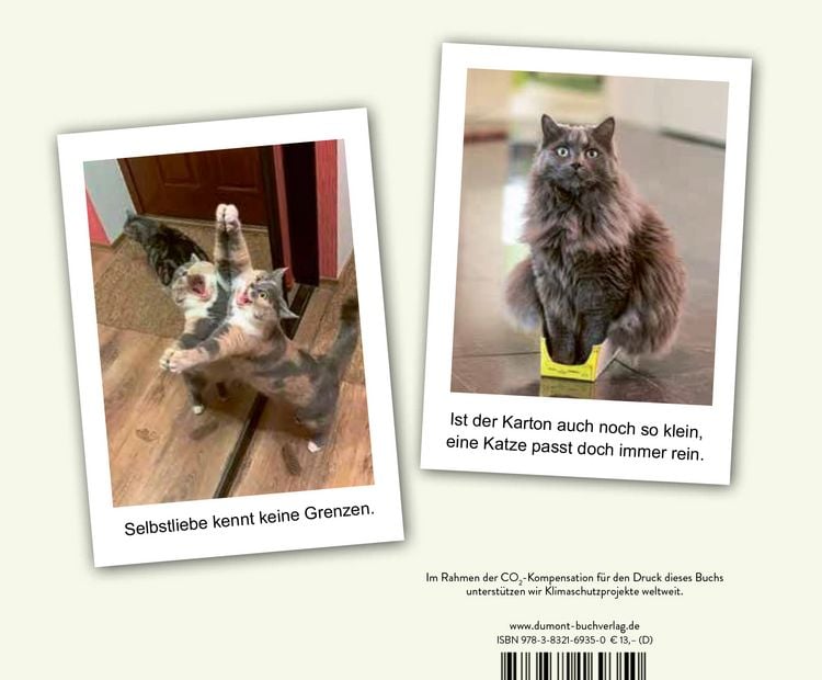 Produktbild: Hilfe, meine Katze ist kaputt