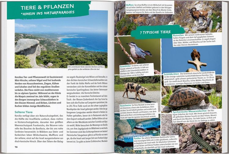 Produktbild: Marco Polo Outdoor Guide Reisef&uuml;hrer Korsika