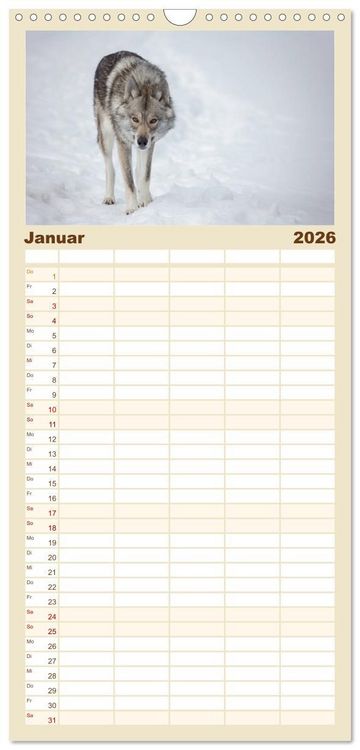 Produktbild: Familienplaner 2026 - Wolfshunde 2026 mit 5 Spalten (Wandkalender, 21 x 45 cm) CALVENDO