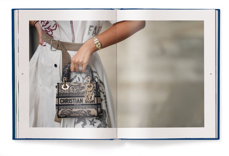 Produktbild: Dior Bags: Der ultimative Guide