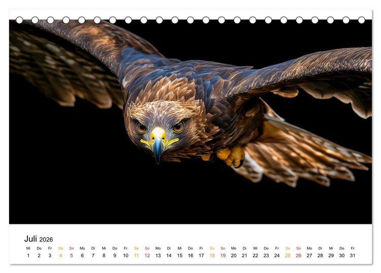 Produktbild: Wilde Heimat - Tiere unserer Natur (Tischkalender 2026 DIN A5 quer), CALVENDO Monatskalender