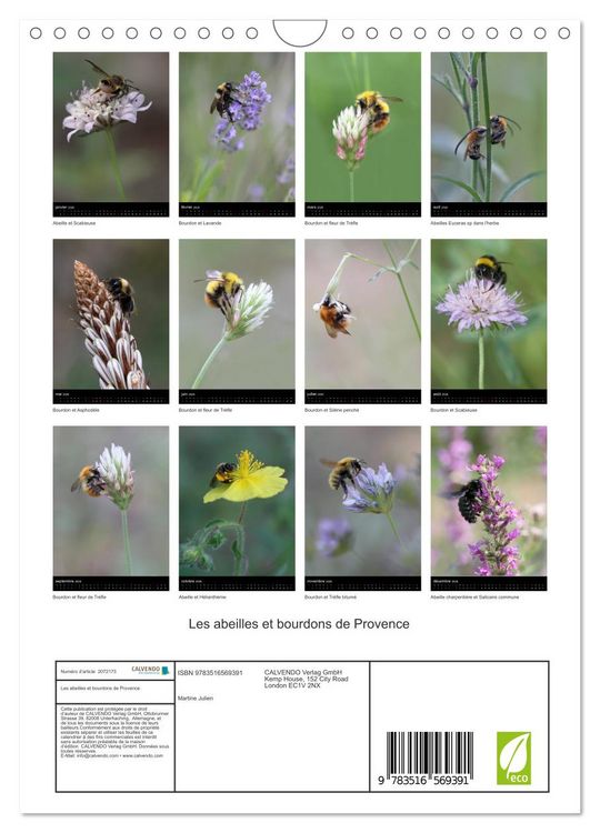 Produktbild: Les abeilles et bourdons de Provence (Calendrier mural 2026 DIN A4 horizontal), CALVENDO calendrier mensuel