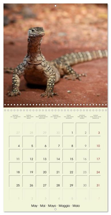 Produktbild: Les merveilles du monde les reptiles (Calendrier mural carr&eacute; 2026 30x30 cm) Calendrier double avec une page pour vos prises de notes