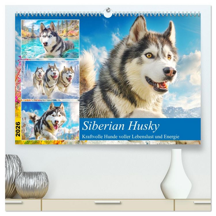 Produktbild: Siberian Husky. Kraftvolle Hunde voller Lebenslust und Energie (hochwertiger Premium Wandkalender 2026 DIN A2 quer), Kunstdruck in Hochglanz