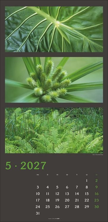 Produktbild: Die Farben der Natur Kalender 2027