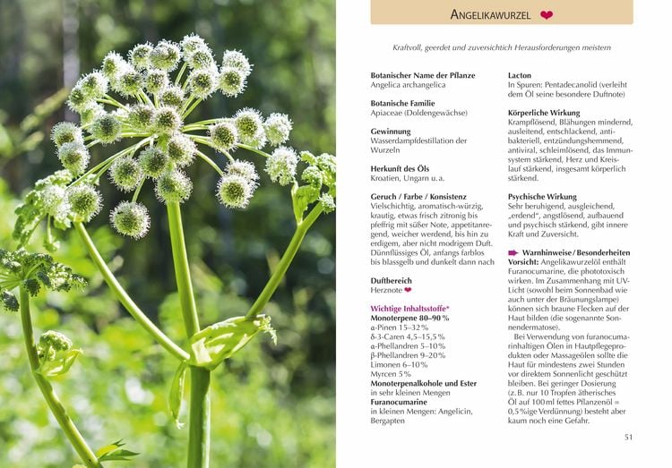 Produktbild: Handbuch &Auml;therische &Ouml;le