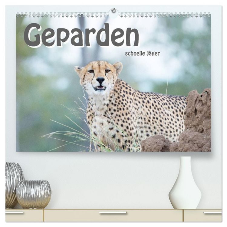 Produktbild: Geparden - schnelle J&auml;ger (hochwertiger Premium Wandkalender 2026 DIN A2 quer), Kunstdruck in Hochglanz