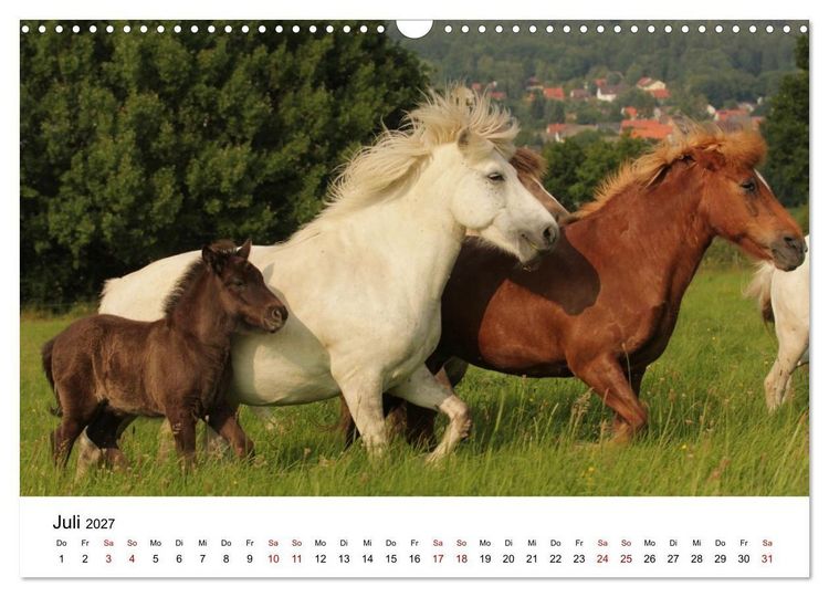 Produktbild: Islandpferde - Hufschlag aus Feuer und Eis (Wandkalender 2027 DIN A3 quer), CALVENDO Monatskalender