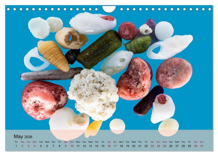 Produktbild: bermuda pink (Wall Calendar 2026 DIN A4 landscape), CALVENDO 12 Month Wall Calendar
