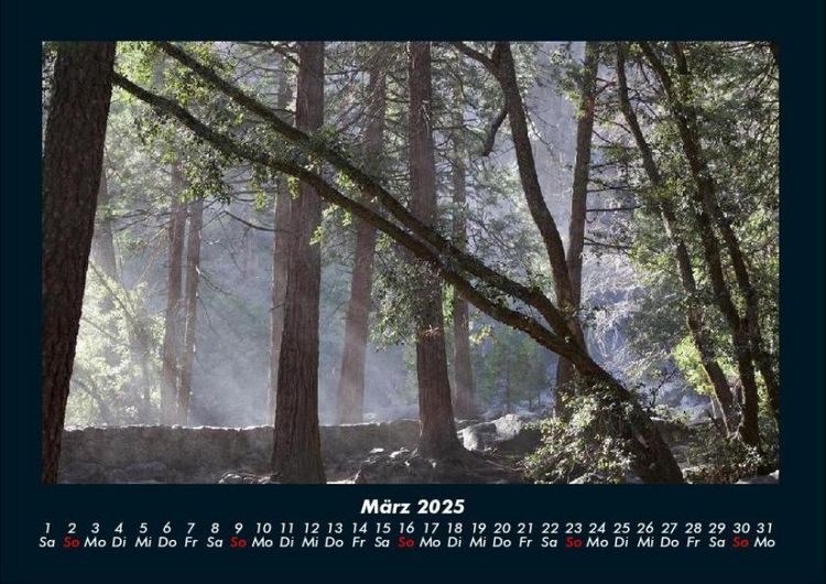 Produktbild: Bilder der Natur 2025 Fotokalender DIN A4