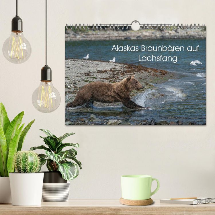 Produktbild: Grizzlyb&auml;ren im Katmai Nationalpark Alaska (Wandkalender 2026 DIN A4 quer), CALVENDO Monatskalender