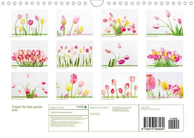 Produktbild: Tulpen f&uuml;r das ganze Jahr (Wandkalender 2022 DIN A4 quer)