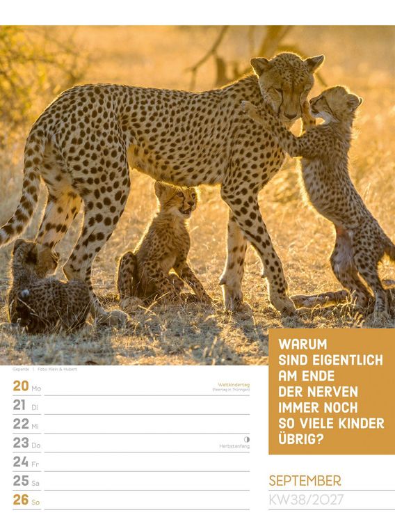 Produktbild: Tierisch Spr&uuml;chekalender Wochenplaner 2027