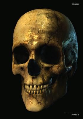 Produktbild: Skulls & Bones