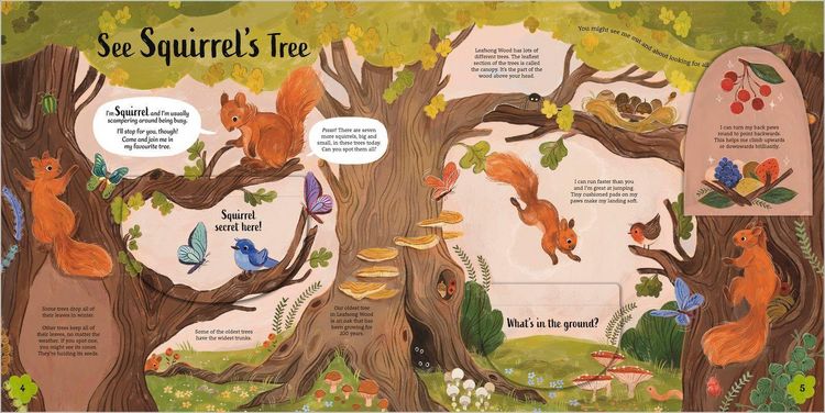 Produktbild: An Invitation to the Woods