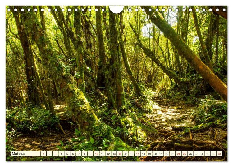 Produktbild: Unterwegs in Malaysia (Wandkalender 2026 DIN A4 quer), CALVENDO Monatskalender